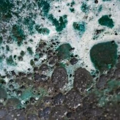 Lava Cube Relic Planter - Jade -HousePlants Shop Lava Couple Straight Relic Planter Jade 19x13cm Colour Swatch 1 6fc30a91 83ed 41d0 b59f 278727c76845