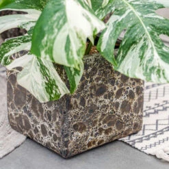 Lava Cube Relic Planter - Black -HousePlants Shop Lava Cube Relic Planter Black 1