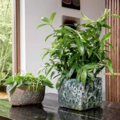 Lava Cube Relic Planter - Jade -HousePlants Shop Lava Cube Relic Planter Jade Lifestyle