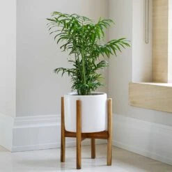 Anzio Plant Pot With Wooden Stand - Stone White -HousePlants Shop Lifestyle Anzio Plant Pot with Wooden Stand Stone White 24x24cm