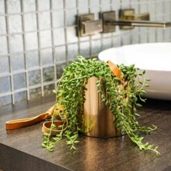 Floro Hanging Plant Pot - Copper -HousePlants Shop Lifestyle Floro Hanging Plant Pot 13x13cm 2