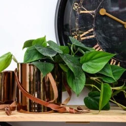 Floro Hanging Plant Pot - Copper -HousePlants Shop Lifestyle Floro Hanging Plant Pot Copper 13x13cm