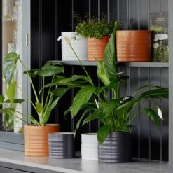 Hadleigh Plant Pot - Charcoal -HousePlants Shop Lifestyle Hadleigh Plant Pot a8f821c4 ef75 4ab7 b78a 21936757ff12