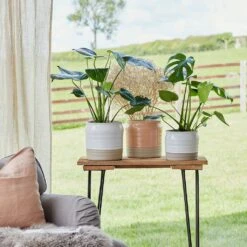 Puro Ripple Plant Pot - White -HousePlants Shop Lifestyle Puro Ripple Plant Pot 21x19cm 78129612 f541 46ee b1c8 f828cfeb6eb8