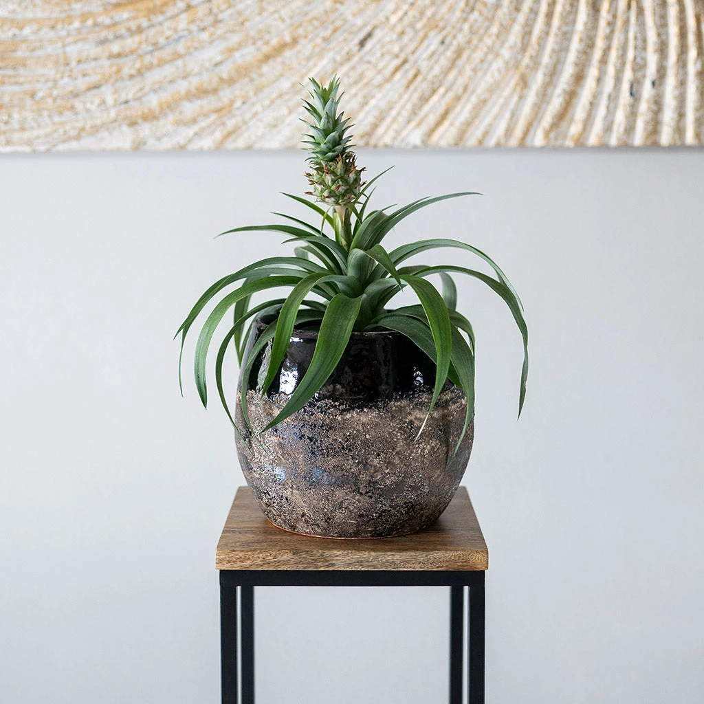Lindy Plant Pot - Black 11 Lindy Plant Pot - Black - Image 9