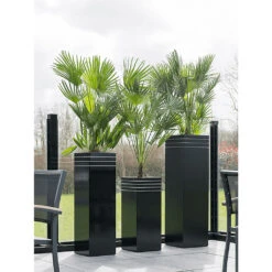 Line-Up Tall Square Planter - Matt Black 10 Line-Up Tall Square Planter - Matt Black -HousePlants Shop Line Up Tall Square Planter Matt Black Lifestyle