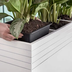 Line-Up Cube Planter - Matt White 10 Line-Up Cube Planter - Matt White -HousePlants Shop Line Up Tall Square Planter Matt White Lifestyle d7ee9310 8be7 4c44 81be 86c068dc217b