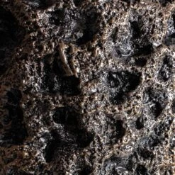 Luxe Lite Moon Partner Planter - Bronze -HousePlants Shop Luxe Lite Moon Partner Planter Bronze 33x70cm 5