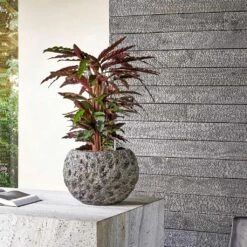 Luxe Lite Moon Globe Planter - Bronze 17 Luxe Lite Moon Globe Planter - Bronze -HousePlants Shop Luxe Lite Universe Moon Globe Bronze