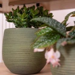 Lydia Plant Pot - Shiny Green -HousePlants Shop LydiaPlantPot ShinyGreen 3