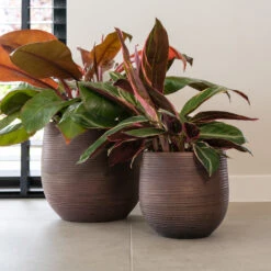 Lydia Plant Pot - Shiny Purple -HousePlants Shop LydiaPlantPotShiny Purple 3