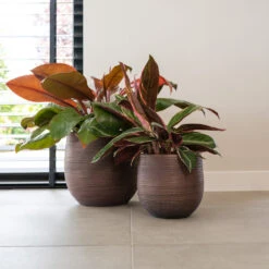 Lydia Plant Pot - Shiny Purple -HousePlants Shop LydiaPlantPotShiny Purple 4