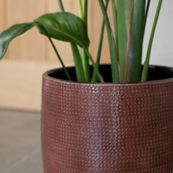 Lykke Plant Pot - Chestnut Blush -HousePlants Shop Lykke Chestnut 2