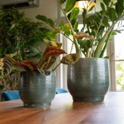 Lykke Plant Pot - Sage -HousePlants Shop Lykke Sage 2