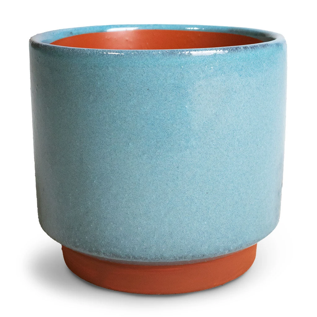 Malibu Plant Pot - Blue 7 Malibu Plant Pot - Blue - Image 5
