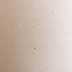 Dorant Refined Oval Plant Bowl - Natural White 11 Dorant Refined Oval Plant Bowl - Natural White -HousePlants Shop Max Refined Planter Natural White 1 ec21d6ad 0b8d 4c49 b62e 32764b890b8a