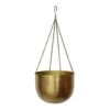 Mayfair Hanging Plant Pot - Antique Brass -HousePlants Shop Mayfair Hanging Plant Pot Antique Brass 30 x 21cm