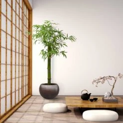 Metallic Globe Plant Pot - Matt Coffee 17 Metallic Globe Plant Pot - Matt Coffee -HousePlants Shop Metallic Couple Plant Pot Matt Coffee LS1