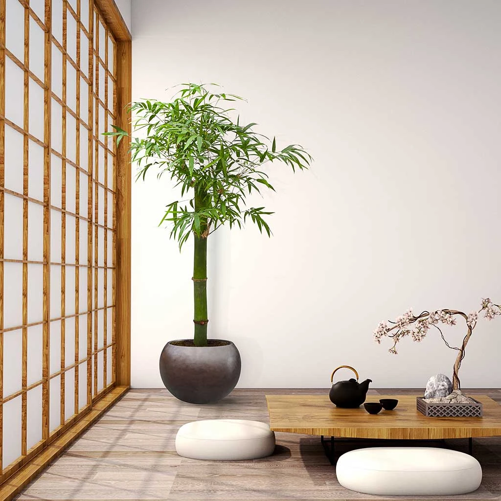 Metallic Globe Plant Pot - Matt Coffee 8 Metallic Globe Plant Pot - Matt Coffee - Image 6