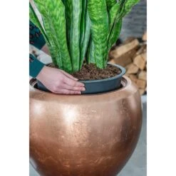 Metallic Couple Plant Pot - Matt Copper -HousePlants Shop Metallic Couple Plant Pot Matt Copper Sansevieria Lifestyle Close