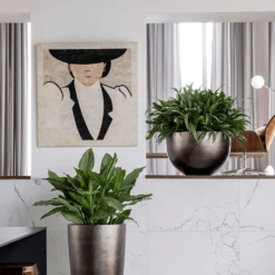 Metallic Plant Bowl - Matt Coffee -HousePlants Shop MetallicPlantBowl MattCoffee 45x27cmPlantPotSizeCheck HortologyMetallicPlantBowl MattCoffee 1