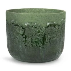 Moon Plant Pot - Jungle -HousePlants Shop Moon Plant Pot Jungle 19x16cm