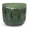 Moon Plant Pot - Jungle -HousePlants Shop Moon Plant Pot Jungle 23x20cm
