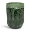 Moon Plant Vase - Jungle -HousePlants Shop Moon Plant Vase Jungle 18x25cm