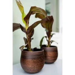 Mya Plant Pot - Shiny Mocha -HousePlants Shop Mya Plant Pot Shiny Mocha Houseplants