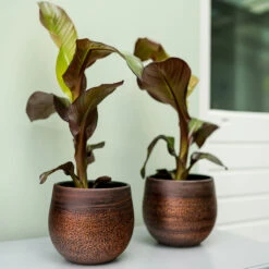 Mya Plant Pot - Shiny Mocha -HousePlants Shop Mya Plant Pot Shiny Mocha Lifestyle 04
