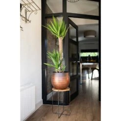 Mya Plant Pot - Shiny Mocha -HousePlants Shop Mya Plant Pot Shiny Mocha Yucca Houseplant Plant Stand