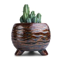Dewi Plant Pot - Marrakesh -HousePlants Shop Myrtillocactus geometrizans Blue Myrtle Cactus 12x20cm Dewi Plant Pot Marrakesh 21x16cm f8212ba7 6c51 45ed b0d0 63c9b238e20f