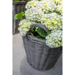 Nanna Wikr Plant Basket - Dark Brown -HousePlants Shop Nanna Wicker Plant Basket Dark Brown Outdoor Plants