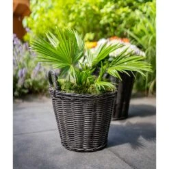 Nanna Wikr Plant Basket - Dark Brown -HousePlants Shop Nanna Wicker Plant Basket Dark Brown Palm Tree