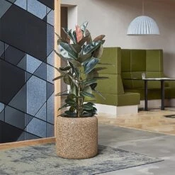 Naturescast Cylinder Planter - Natural -HousePlants Shop Naturescast Cylinder Planter Natural Lifestyle