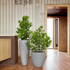 Naturescast Partner Planter - Grey -HousePlants Shop Naturescast Partner Couple Planter Grey Liestyle 05593378 b030 4331 9376 1d57c9e7d03e