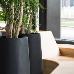 Nax Natural Tall Planter - Black -HousePlants Shop Nax Natural Planter Black Office Planters Close Up