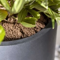 Nax Natural Tall Planter - Black -HousePlants Shop Nax Natural Tall Planter Black 2