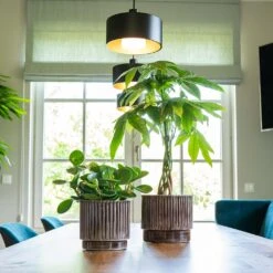 Nella Plant Pot - Coffee -HousePlants Shop Nella Coffee 2