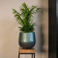 Ninthe Metal Plant Pot - Metallic Petrol 16 Ninthe Metal Plant Pot - Metallic Petrol -HousePlants Shop Ninthe metallic green 02