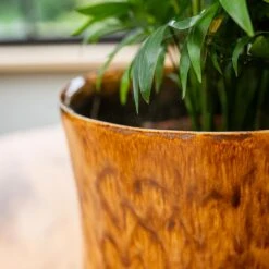 Nolan Plant Pot - Caramel -HousePlants Shop Nolan Caramel 2