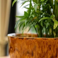 Nolan Plant Pot - Caramel -HousePlants Shop Nolan Caramel 3
