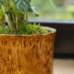 Nolan Plant Pot - Caramel -HousePlants Shop Nolan Caramel 6