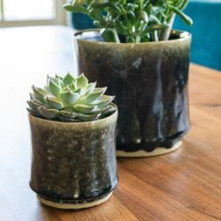 Nolan Plant Pot - Pine -HousePlants Shop Nolan Pine 2