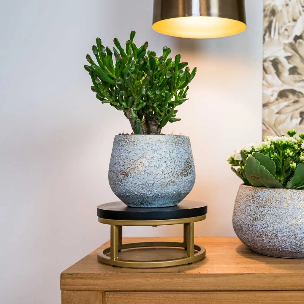 Noor Plant Pot - Metallic Grey 12 Noor Plant Pot - Metallic Grey - Image 10