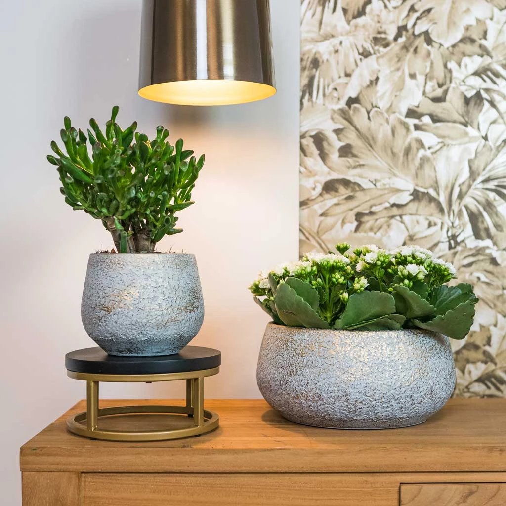 Noor Plant Bowl - Metallic Grey 7 Noor Plant Bowl - Metallic Grey - Image 5