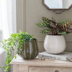 Nova Plant Pot - Green -HousePlants Shop Nova Plant Pot Cream 23 x 18cm 11781764 6d1a 4491 88d6 b6d75afe7217