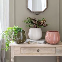 Nova Plant Pot - Cream -HousePlants Shop Nova Plant Pot Rose 23 x 18cm 2