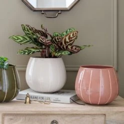 Nova Plant Pot - Rose -HousePlants Shop Nova Plant Pot Rose 23 x 18cm 6f69093b d56e 46c7 94b7 24c715c1effc