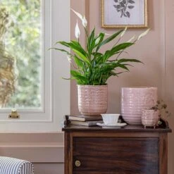 Ocean Glaze Plant Pot - Morganite -HousePlants Shop Ocean Glaze Plant Pot Morganite 16 x 16cm